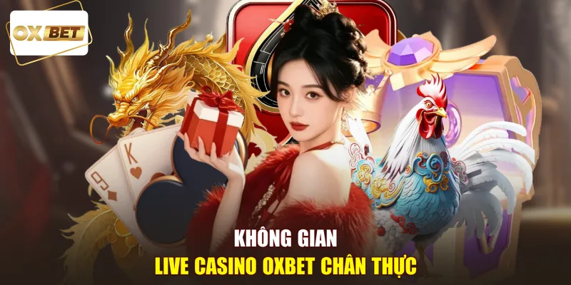 Không gian live Casino OXBET chân thực