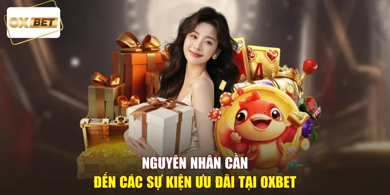Nguyên nhân cần đến các sự kiện ưu đãi tại OXBET