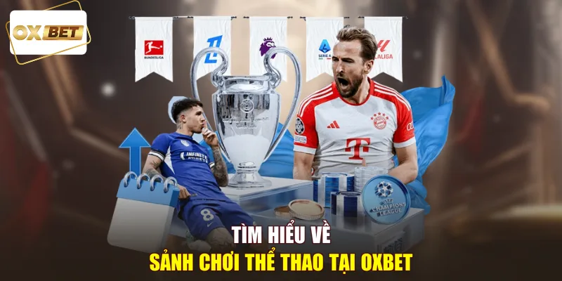 Tìm hiểu về sảnh chơi thể thao tại OXBET 
